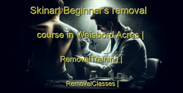 Skinart Beginner's removal course in Weisbord Acres | RemovalTraining | RemovalClasses | SkinartTraining-Canada
